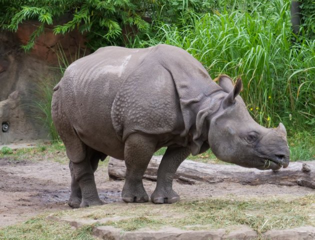 berlinzoo22